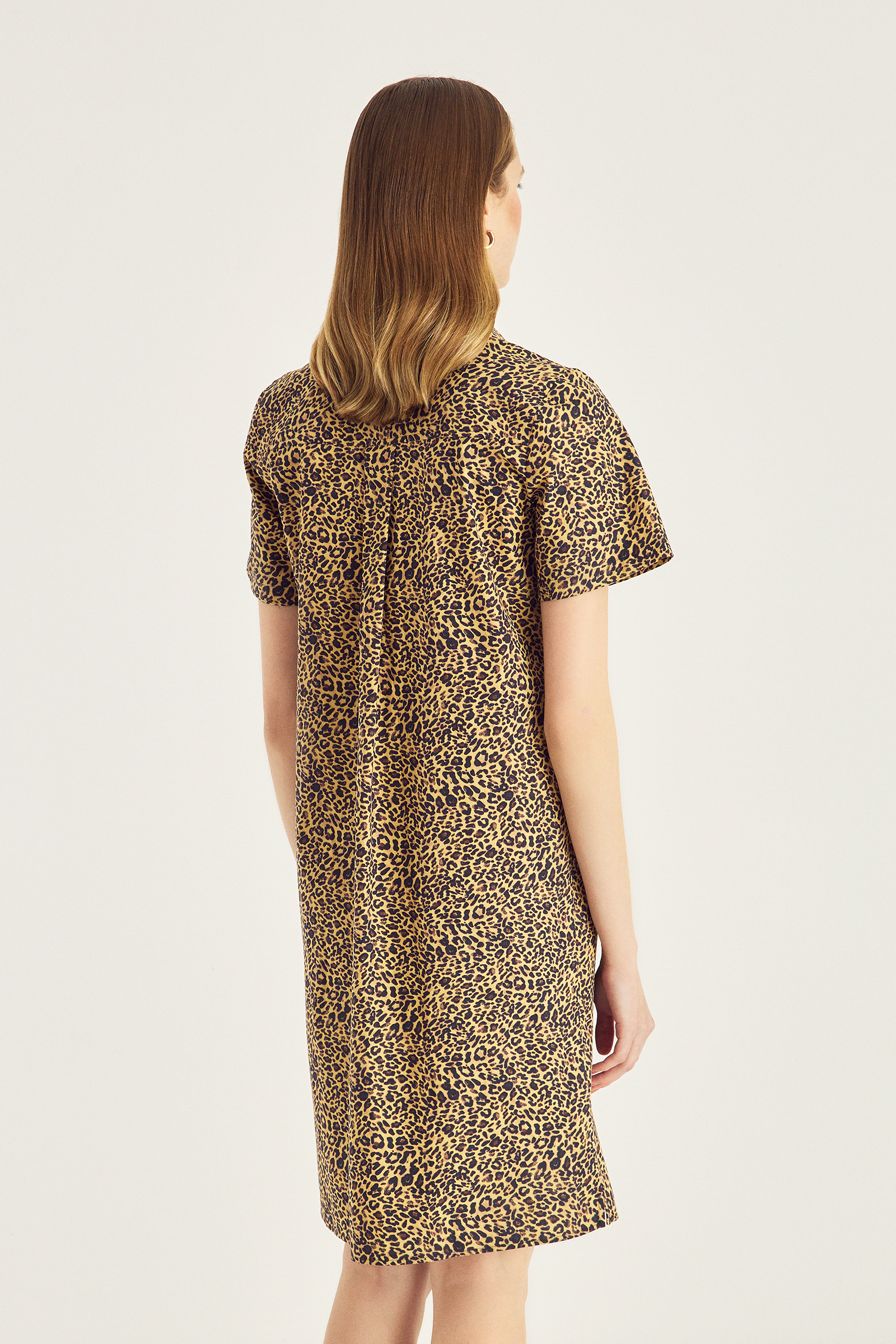 Poplin Elbise