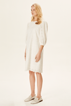 Balon Kollu Brode Elbise