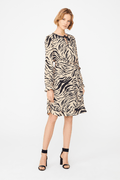 zebra desen