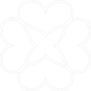 NaraMaxx logo